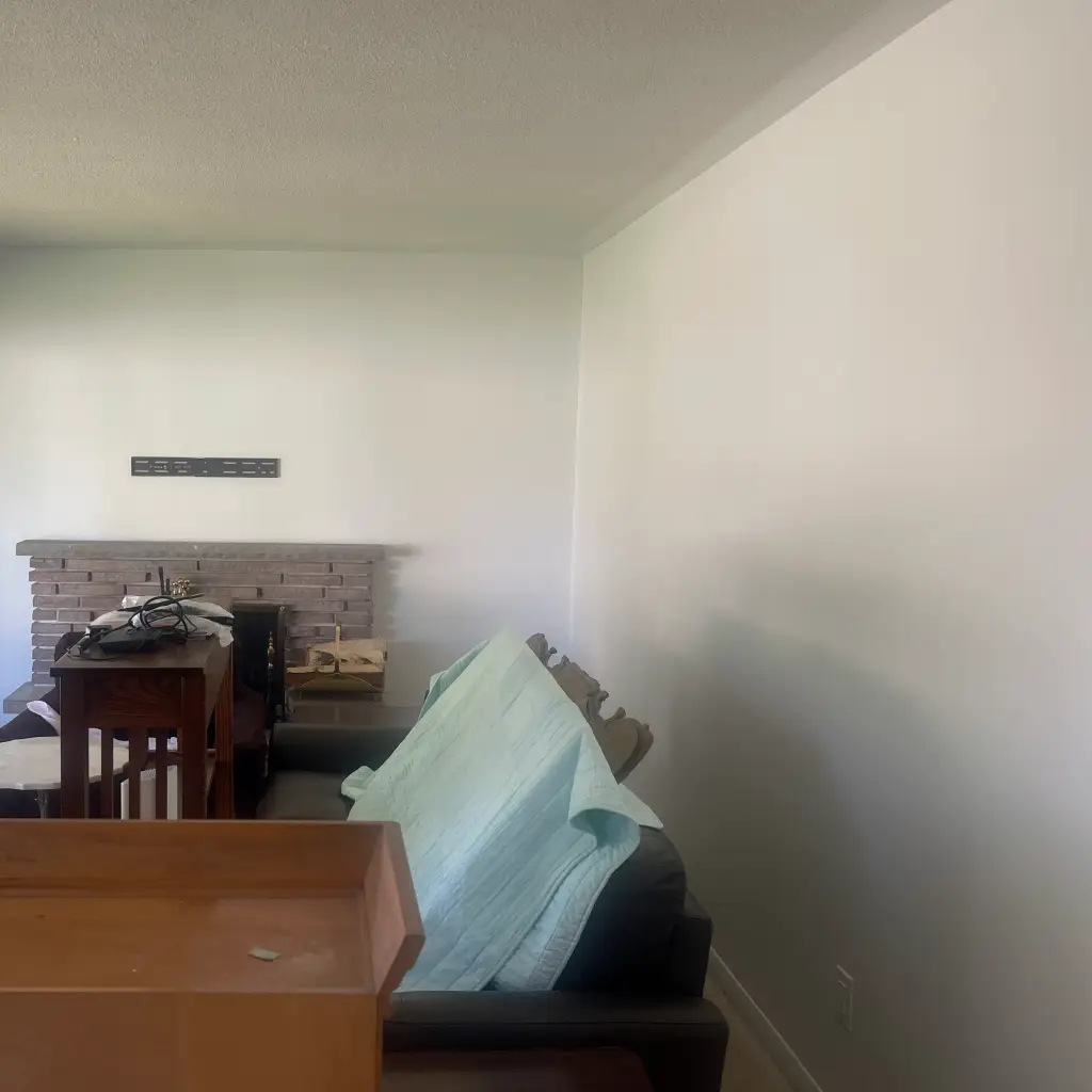 Wall painting Project